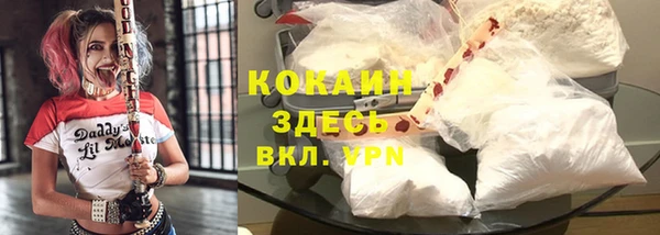 индика Алзамай