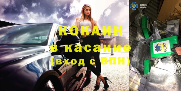 ешки Алексин