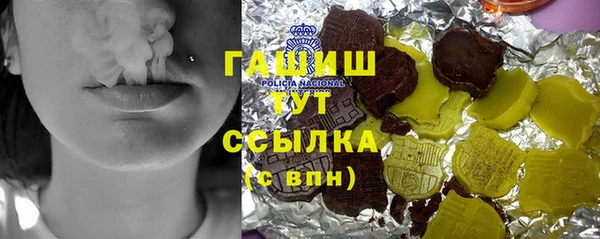 индика Алзамай