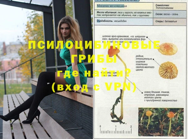 стаф Алексеевка