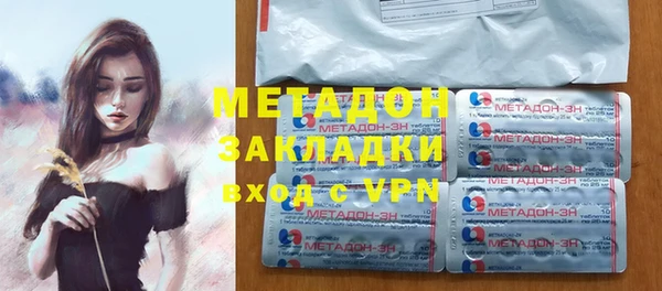 индика Алзамай
