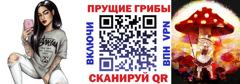 закладки  Лаишево  omg маркетплейс  Галлюциногенные грибы мицелий 